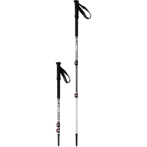 DynaLock Explore Backcountry Poles - Pair